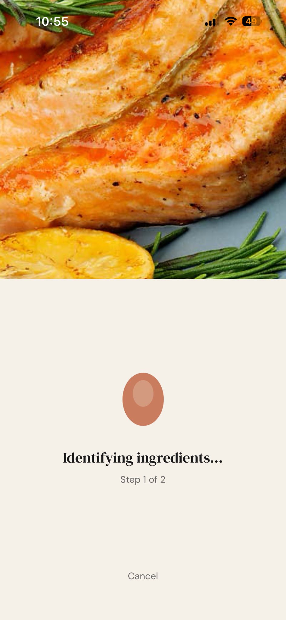 FertiNutrition iPhone scan screen identifying ingredients from a meal photo